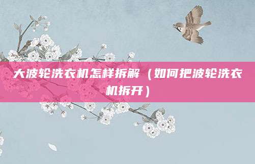 大波轮洗衣机怎样拆解（如何把波轮洗衣机拆开）