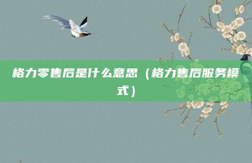 格力零售后是什么意思（格力售后服务模式）