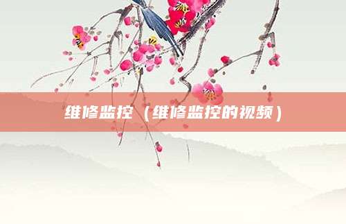 维修监控（维修监控的视频）