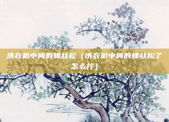 洗衣机中间的螺丝松（洗衣机中间的螺丝松了怎么拧）