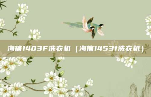 海信1403F洗衣机（海信1453f洗衣机）