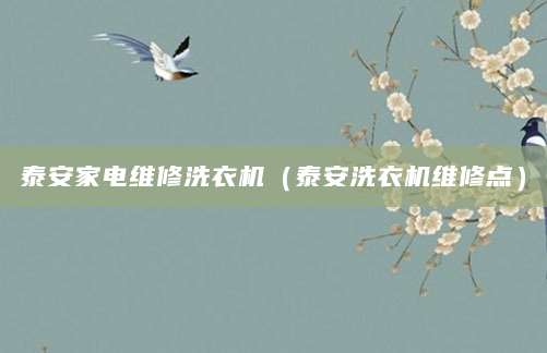 泰安家电维修洗衣机（泰安洗衣机维修点）