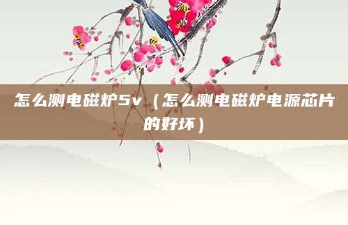 怎么测电磁炉5v（怎么测电磁炉电源芯片的好坏）