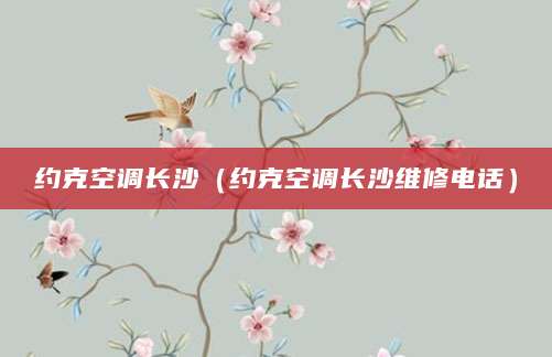 约克空调长沙（约克空调长沙维修电话）