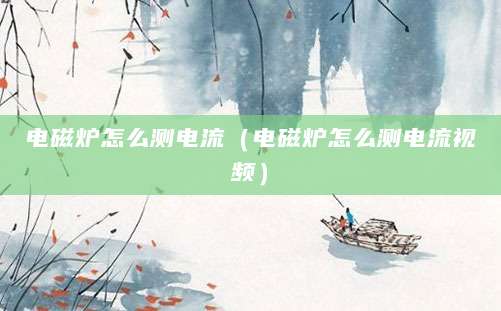 电磁炉怎么测电流（电磁炉怎么测电流视频）