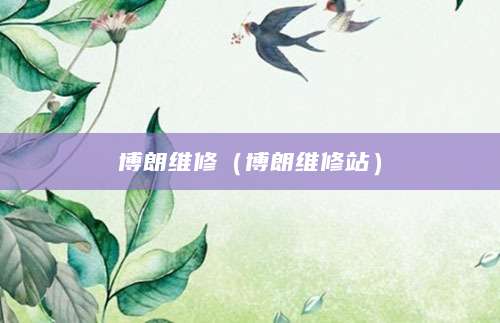 博朗维修（博朗维修站）