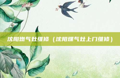 沈阳燃气灶维修（沈阳煤气灶上门维修）