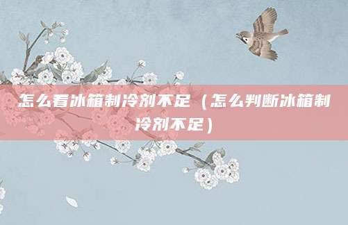 怎么看冰箱制冷剂不足（怎么判断冰箱制冷剂不足）