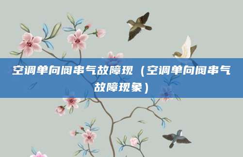空调单向阀串气故障现（空调单向阀串气故障现象）