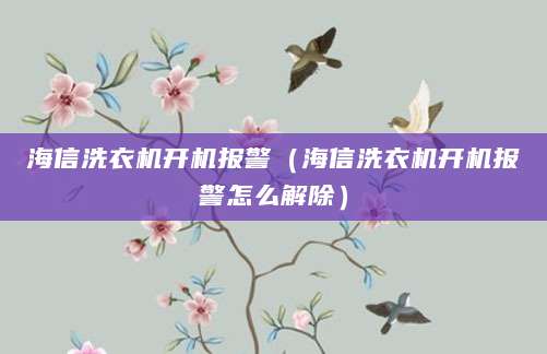 海信洗衣机开机报警（海信洗衣机开机报警怎么解除）
