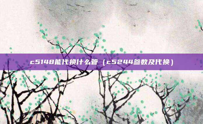 c5148能代换什么管（c5244参数及代换）