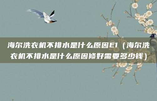 海尔洗衣机不排水是什么原因E1（海尔洗衣机不排水是什么原因修好需要多少钱）