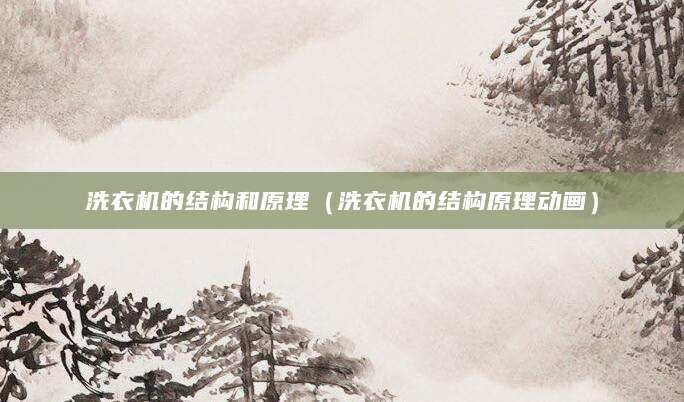 洗衣机的结构和原理（洗衣机的结构原理动画）