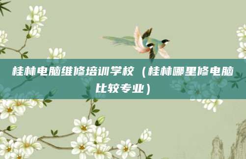 桂林电脑维修培训学校（桂林哪里修电脑比较专业）
