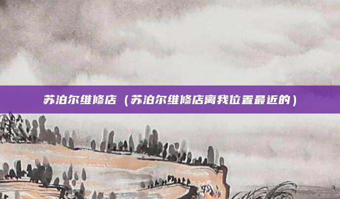 苏泊尔维修店（苏泊尔维修店离我位置最近的）