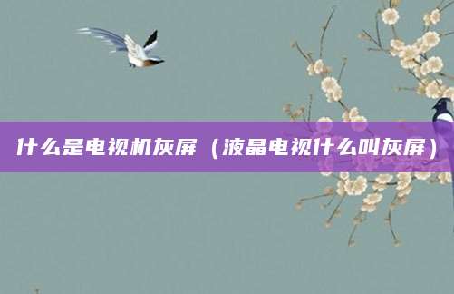 什么是电视机灰屏（液晶电视什么叫灰屏）
