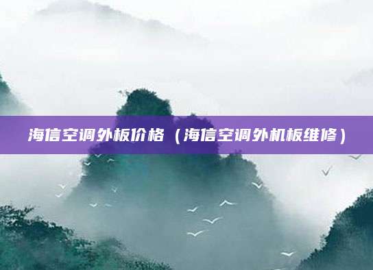 海信空调外板价格（海信空调外机板维修）