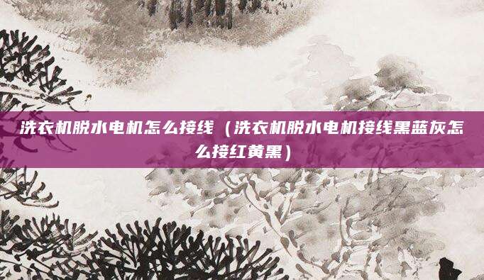 洗衣机脱水电机怎么接线（洗衣机脱水电机接线黑蓝灰怎么接红黄黑）