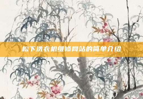 松下洗衣机维修网站的简单介绍