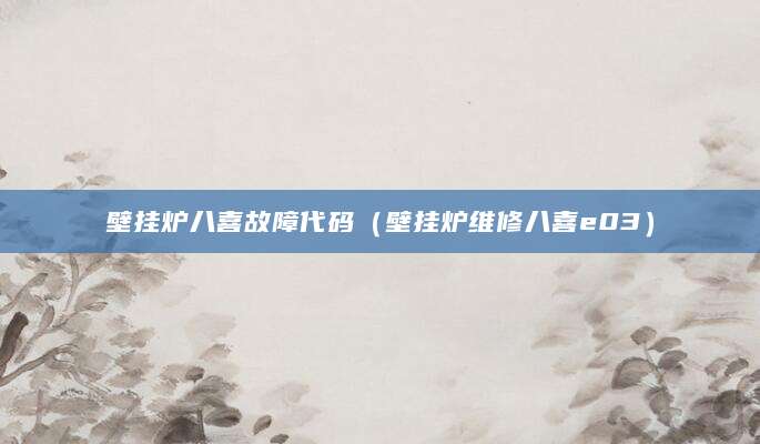 壁挂炉八喜故障代码（壁挂炉维修八喜e03）