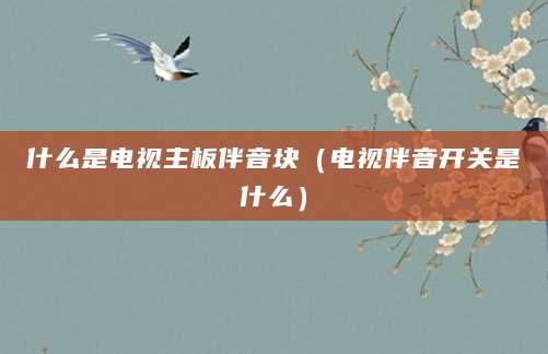 什么是电视主板伴音块（电视伴音开关是什么）