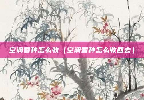 空调雪种怎么收（空调雪种怎么收回去）