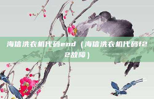海信洗衣机代码end(海信洗衣机代码f22故障)