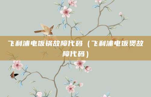 飞利浦电饭锅故障代码(飞利浦电饭煲故障代码)