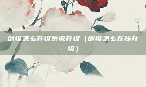 创维怎么升级系统升级(创维怎么在线升级)