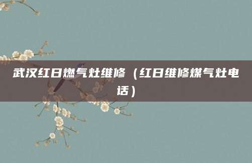 武汉红日燃气灶维修(红日维修煤气灶电话)