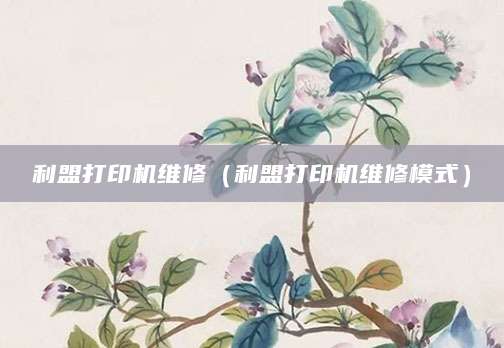 利盟打印机维修（利盟打印机维修模式）