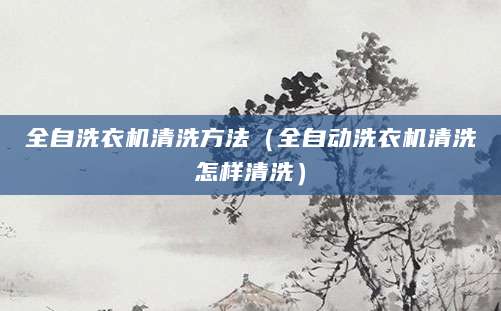 全自洗衣机清洗方法（全自动洗衣机清洗怎样清洗）