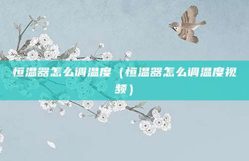 恒温器怎么调温度（恒温器怎么调温度视频）