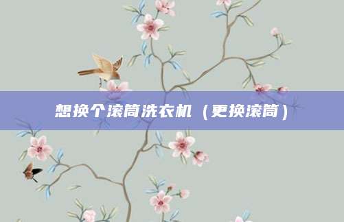 想换个滚筒洗衣机(更换滚筒)