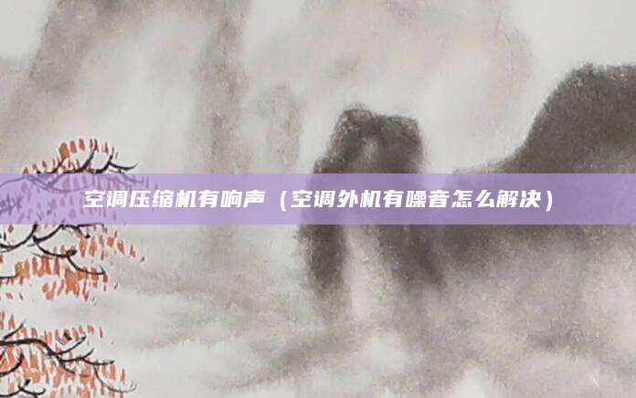 空调压缩机有响声(空调外机有噪音怎么解决)