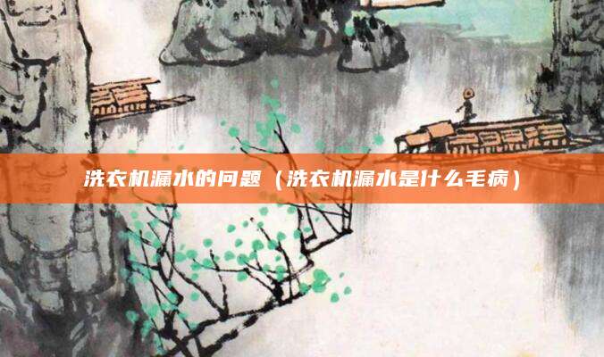 洗衣机漏水的问题(洗衣机漏水是什么毛病)