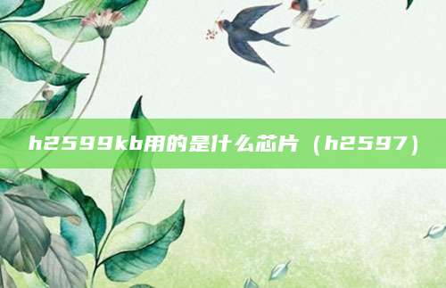 h2599kb用的是什么芯片（h2597）