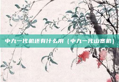 中九一代机还有什么用（中九一代山寨机）
