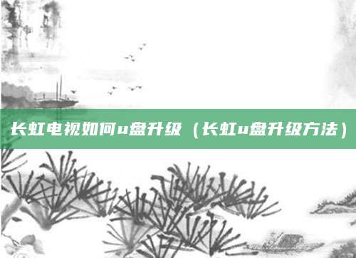 长虹电视如何u盘升级（长虹u盘升级方法）