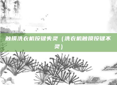 触摸洗衣机按键失灵（洗衣机触摸按键不灵）