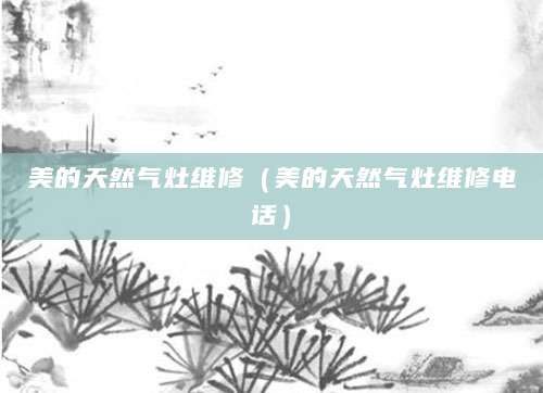 美的天然气灶维修（美的天然气灶维修电话）