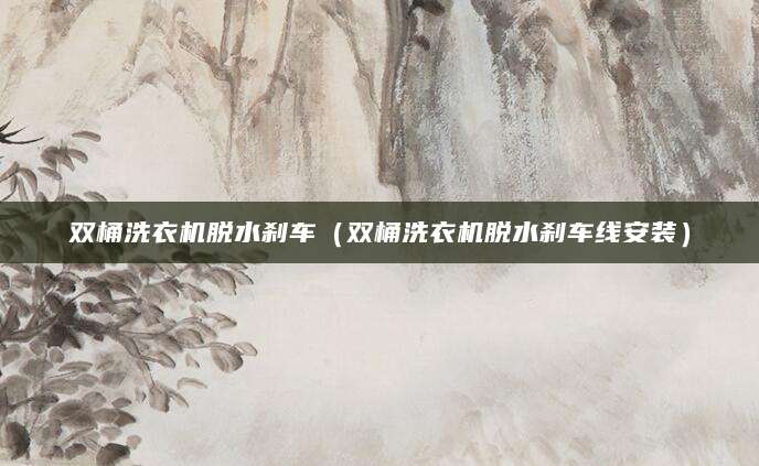 双桶洗衣机脱水刹车（双桶洗衣机脱水刹车线安装）