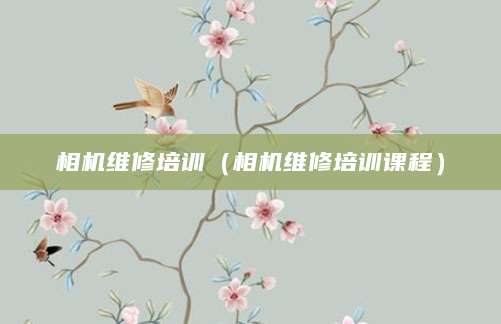 相机维修培训（相机维修培训课程）