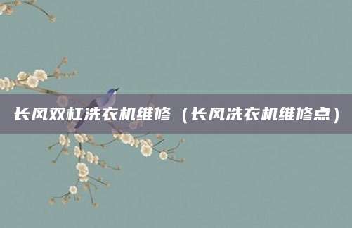 长风双杠洗衣机维修（长风冼衣机维修点）