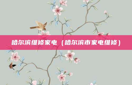 哈尔滨维修家电（哈尔滨市家电维修）