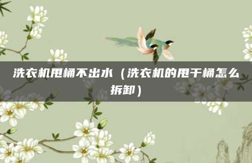 洗衣机甩桶不出水（洗衣机的甩干桶怎么拆卸）
