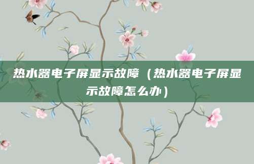 热水器电子屏显示故障（热水器电子屏显示故障怎么办）