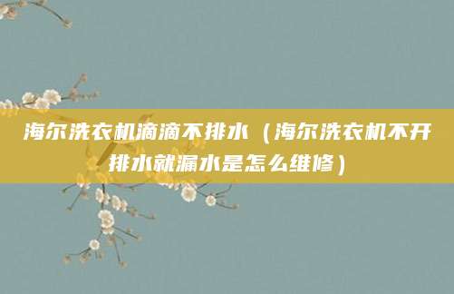 海尔洗衣机滴滴不排水（海尔洗衣机不开排水就漏水是怎么维修）