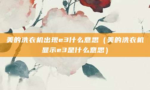 美的洗衣机出现e3什么意思（美的洗衣机显示e3是什么意思）