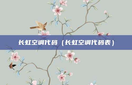 长虹空调代码（长虹空调代码表）